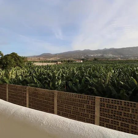 Appartement Marina Palace Atlantic View *