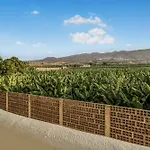 Marina Palace Atlantic View *