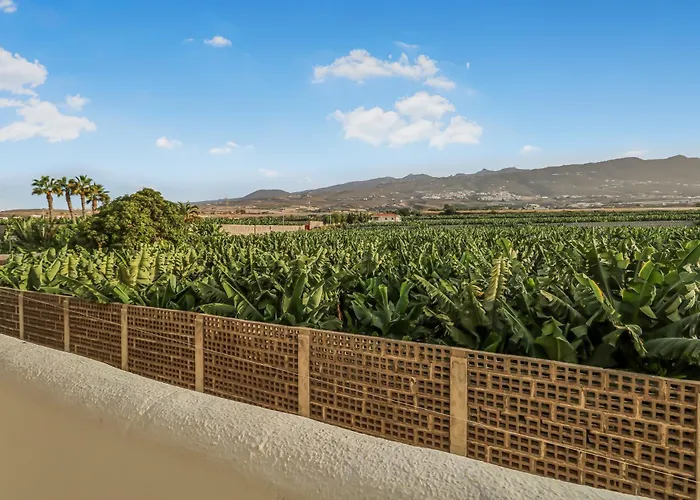 Marina Palace Atlantic View *